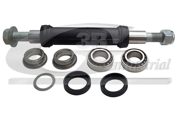 3RG61260 3RG Подшипник крепления заднего рычага (задней подвески)
