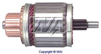 618318 WAI