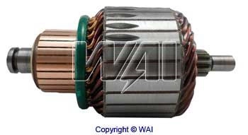 619159 WAI