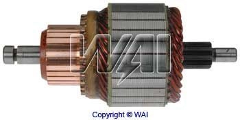 619130 WAI