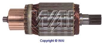 618202 WAI