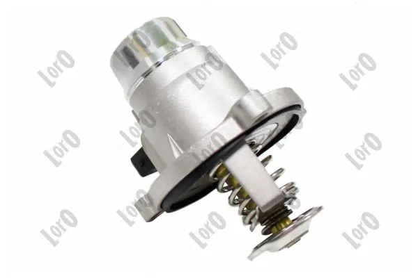 Termostato BMW X5 G05, F95