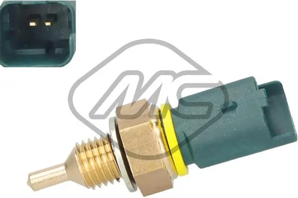 50289 Metalcaucho