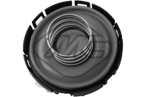 97891 Metalcaucho