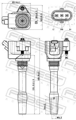 Bobina de ignição BMW X5 G05, F95
