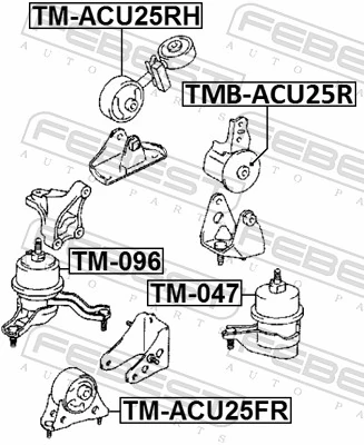 TMBACU25R Febest Задняя подушка двигателя