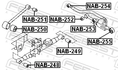 NAB255 Febest Сайлентблок задней поперечной тяги