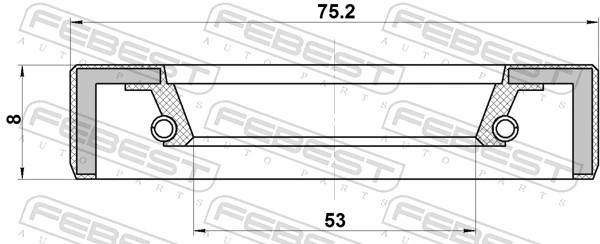 95FBY55750808X Febest Сальник передней ступицы
