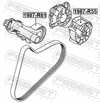1987R61 Febest Ролик натяжителя ремня агрегатов