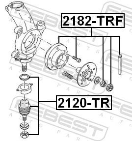 2120TR Febest Палец шаровой нижний