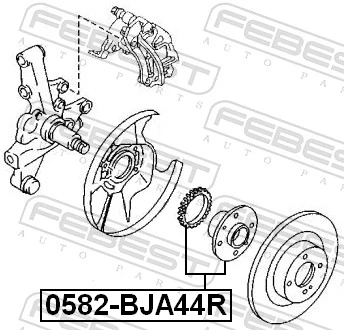 0582BJA44R Febest Ступица задняя