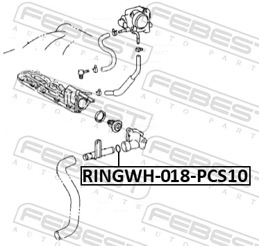 RINGWH018PCS10 Febest Кольцо уплотнительное системы охлаждения