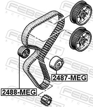 2488MEG Febest Паразитный ведущий ролик