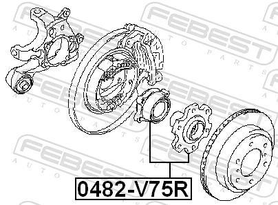 0482V75R Febest Ступица задняя