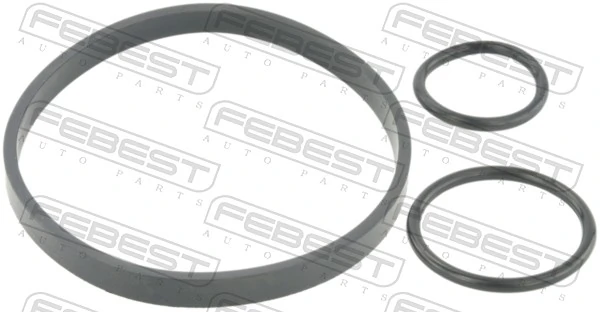 RINGOL039KIT Febest