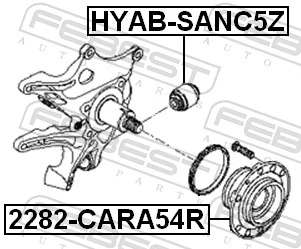 2282CARA54R Febest Ступица задняя