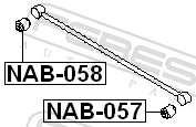NAB058 Febest Сайлентблок задней поперечной тяги