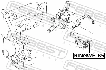 RINGWHB5 Febest Кольцо уплотнительное системы охлаждения