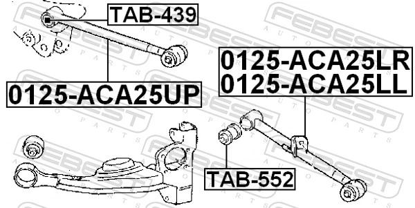 TAB552 Febest Сайлентблок задней поперечной тяги