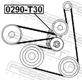 0290T30 Febest Натяжитель клинового ремня