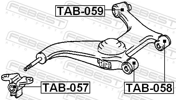 TAB057 Febest Сайлентблок задней тяги