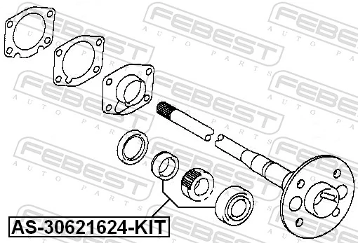 AS30621624KIT Febest Подшипник полуоси заднего моста