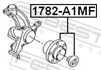 1782A1MF Febest Ступица колеса передняя