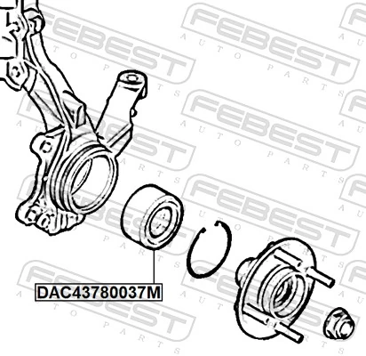 DAC43780037M Febest Подшипник ступицы передней