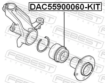 DAC55900060KIT Febest Подшипник ступицы передней