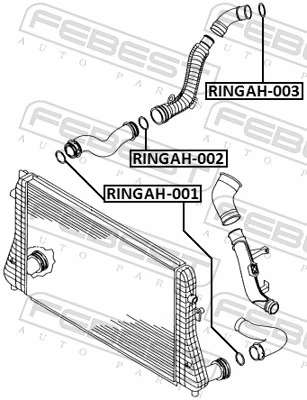RINGAH002 Febest Кольцо уплотнительное  шланга охлаждения турбины, обратки