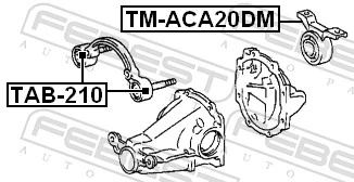 TMACA20DM Febest Сайлентблок (подушка) редуктора заднего моста задний