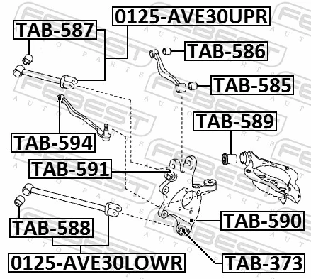 TAB589 Febest Сайлентблок задней тяги