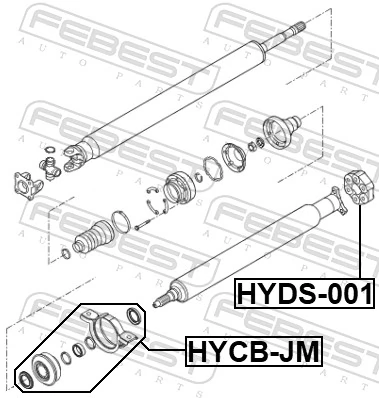 HYCBJM Febest Подвесной подшипник кардана