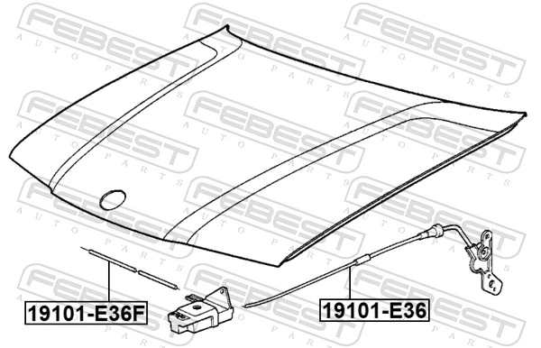 19101E36 Febest