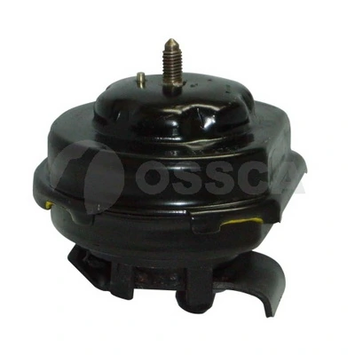 00320 Ossca