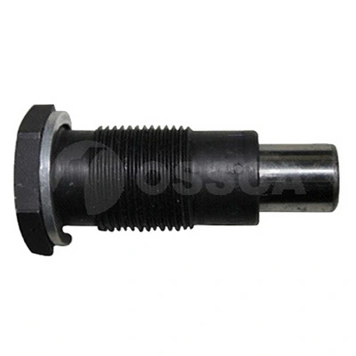 13998 Ossca