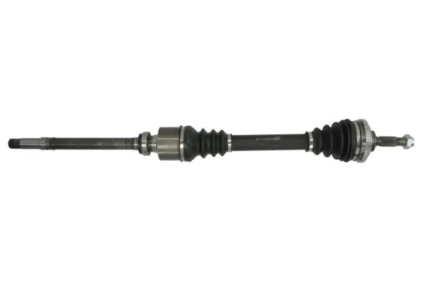 G2P004PC Pascal