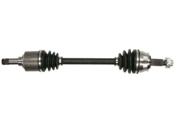 G2F020PC Pascal
