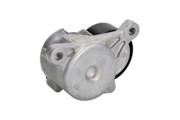 Reguladora de tensão da correia de transmissão Peugeot 807 E