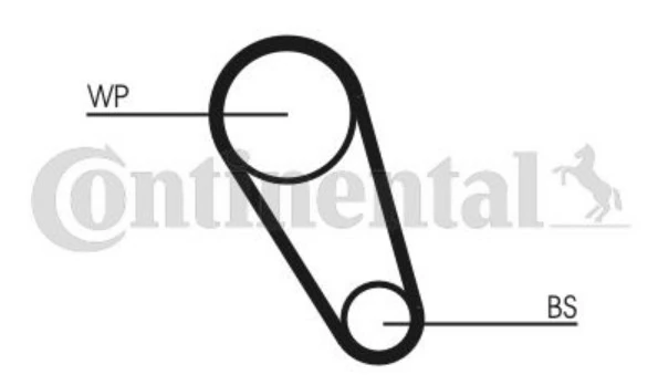 Correia dos conjuntos de transmissão Audi A3 8YA, 8YF