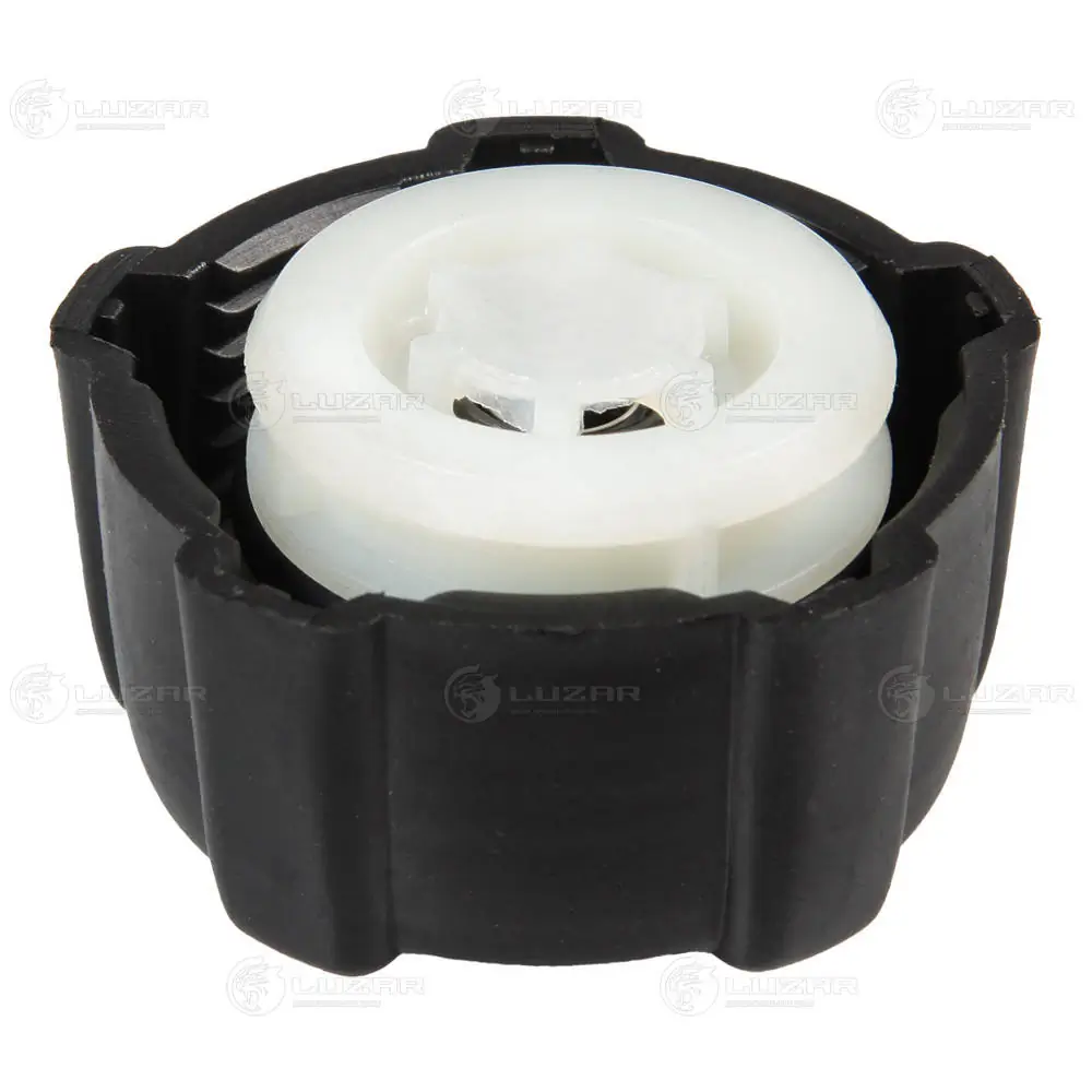 Tampa (tampão) do tanque de expansão Dacia Logan KS