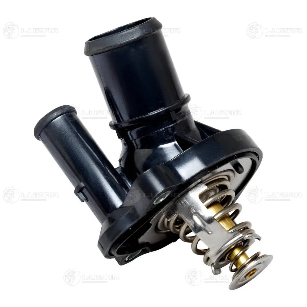 LT1025 Luzar