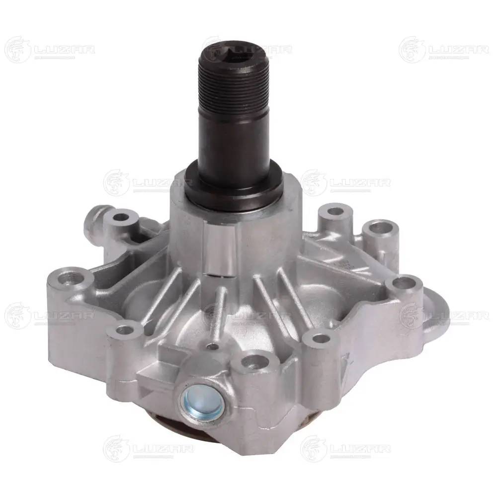 Водяной насос Continental/Siemens WPS3219