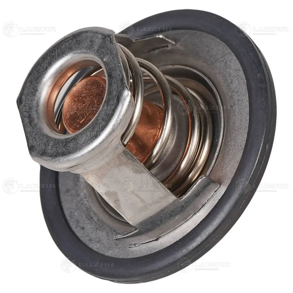 Termostato Renault DOKKER