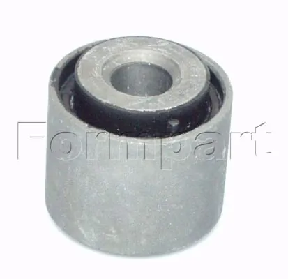 1556174S Formpart/Otoform