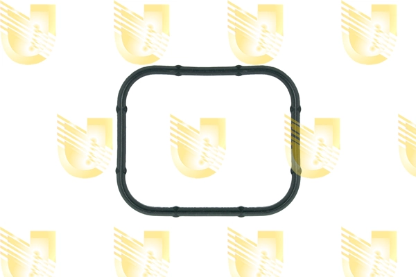 Vedante de tubo coletor de admissão Peugeot Expert  VF