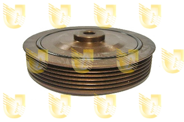 Polia de cambota Renault 21 S48