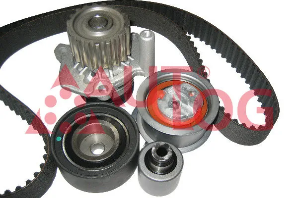 Купить Комплект ГРМ Фольксваген Пассат B6 3C2