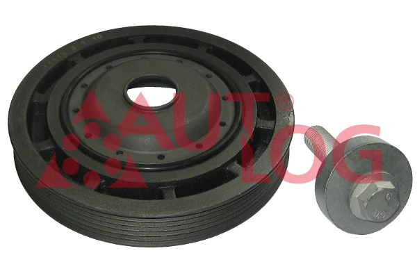 Compre Polia de cambota Renault Scenic 