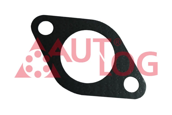 DI1001 Autlog